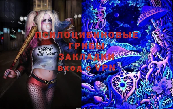 индика Балабаново