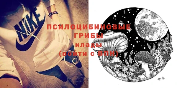 индика Балабаново