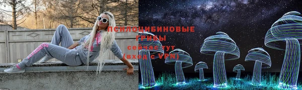 герыч Арсеньев